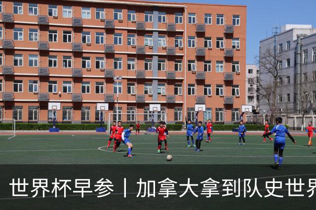 世界杯早参丨加拿大拿到队史世界杯首个积分 开幕式表演翻车大力神杯瘪了 加纳一球员涉嫌强奸被拒绝入境无缘首战